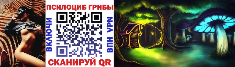 mega tor  Белоусово  Галлюциногенные грибы Psilocybe 